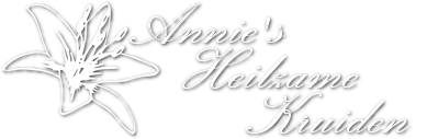 Go to homepage